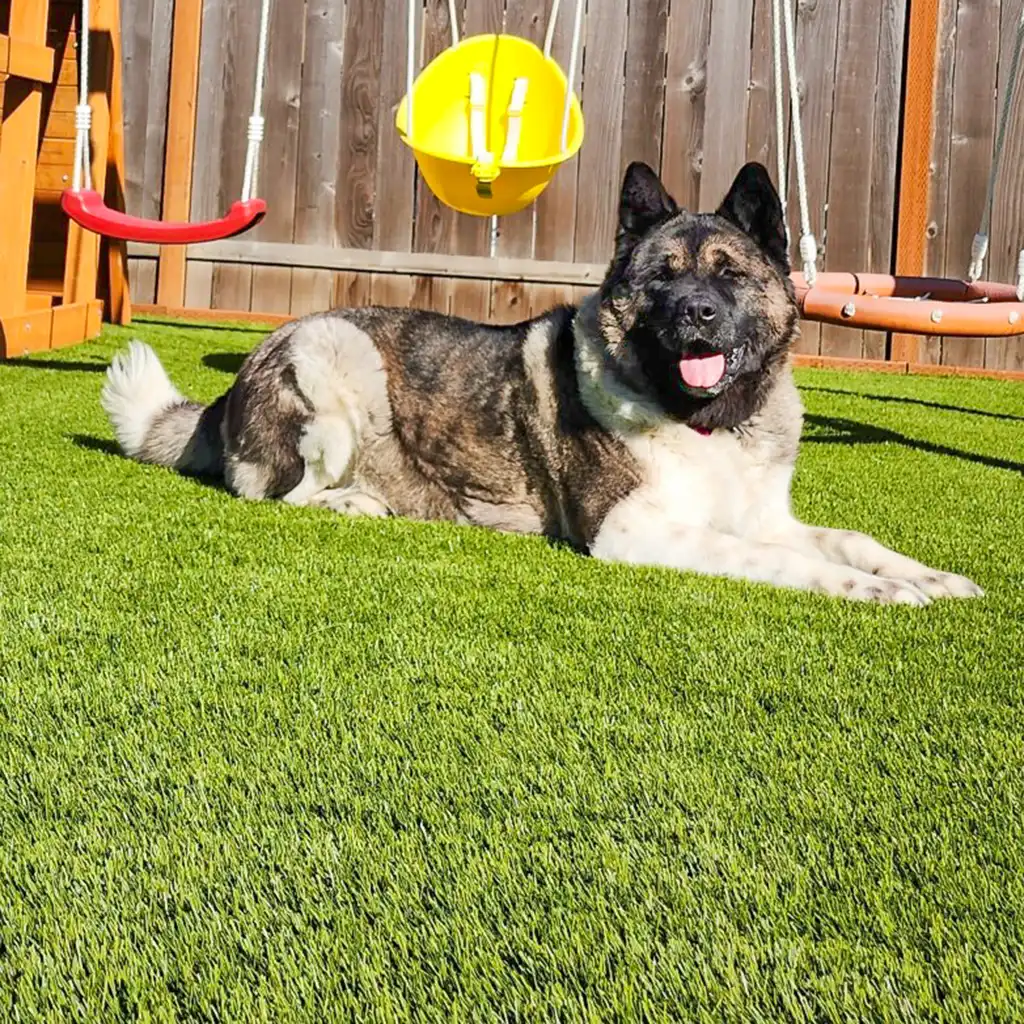 SYNLawn Oregon artificial grass for Pets and Play 1024x1024